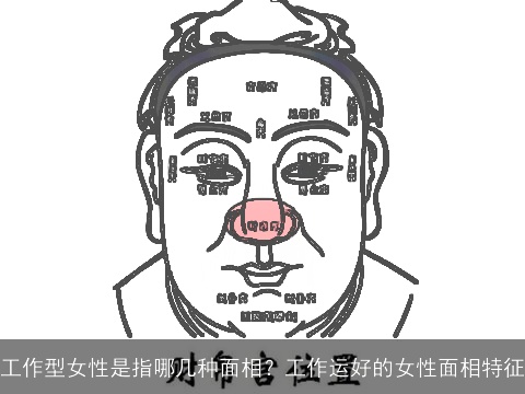 工作型女性是指哪几种面相？工作运好的女性面相特征