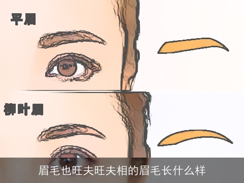 眉毛也旺夫旺夫相的眉毛长什么样