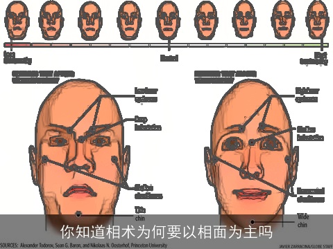 你知道相术为何要以相面为主吗