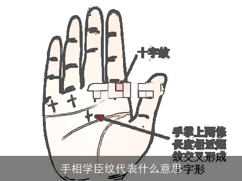 手相学臣纹代表什么意思