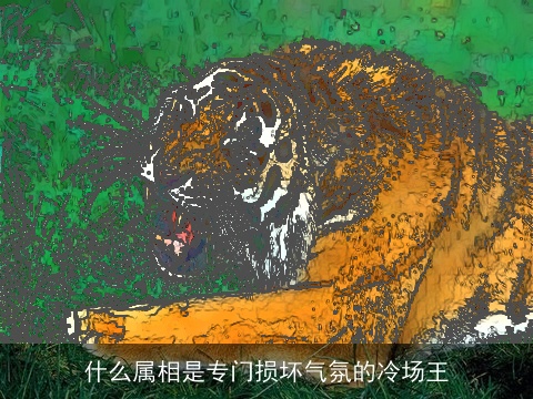 什么属相是专门损坏气氛的冷场王