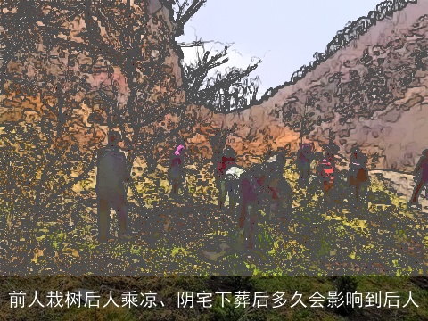 前人栽树后人乘凉、阴宅下葬后多久会影响到后人