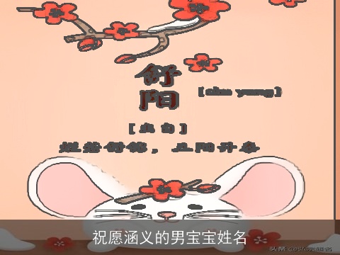 祝愿涵义的男宝宝姓名