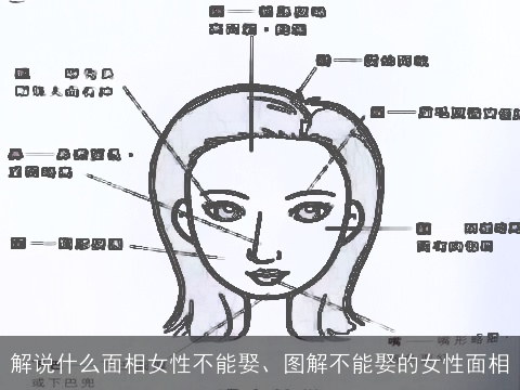 解说什么面相女性不能娶、图解不能娶的女性面相