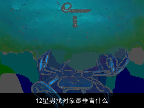 12星男找对象最垂青什么