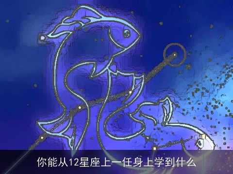 你能从12星座上一任身上学到什么