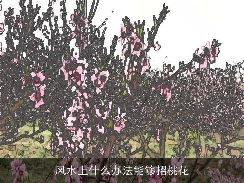 风水上什么办法能够招桃花