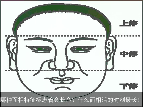 哪种面相特征标志着会长命？什么面相活的时刻最长！
