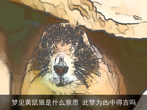 梦见黄鼠狼是什么意思 此梦为凶中得吉吗