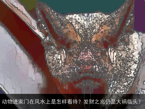 动物进家门在风水上是怎样看待？发财之兆仍是大祸临头？