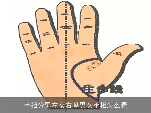 手相分男左女右吗男女手相怎么看