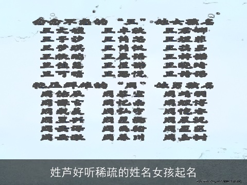 姓芦好听稀疏的姓名女孩起名