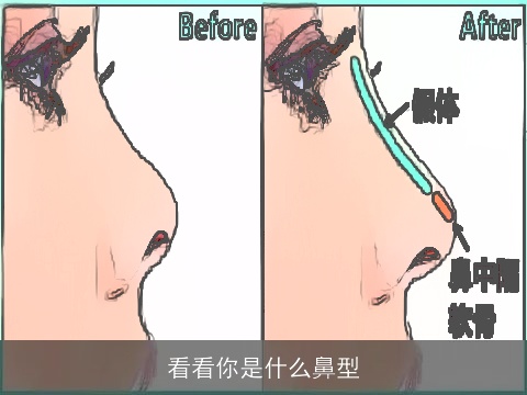 看看你是什么鼻型