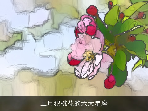 五月犯桃花的六大星座