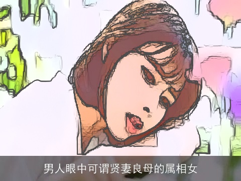 男人眼中可谓贤妻良母的属相女