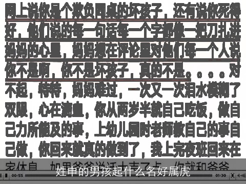 姓申的男孩起什么名好属虎