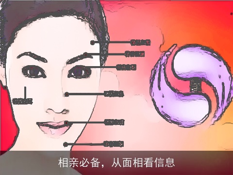 相亲必备，从面相看信息