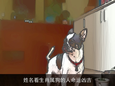 姓名看生肖属狗的人命运凶吉