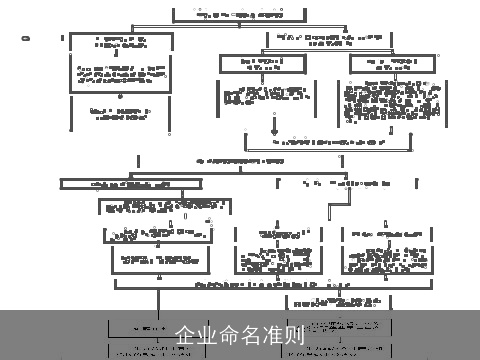 企业命名准则