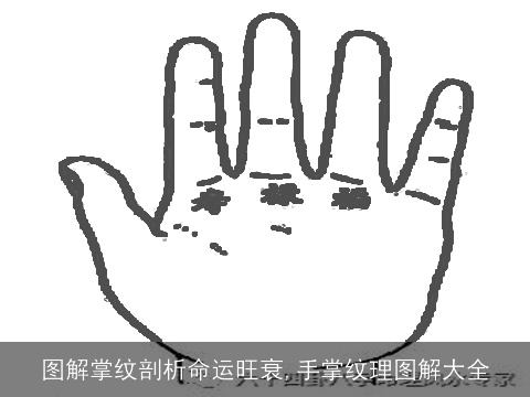 图解掌纹剖析命运旺衰,手掌纹理图解大全