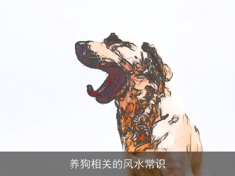 养狗相关的风水常识