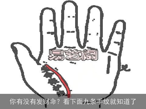 你有没有发财命？看下面九条手纹就知道了