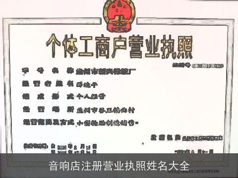 音响店注册营业执照姓名大全