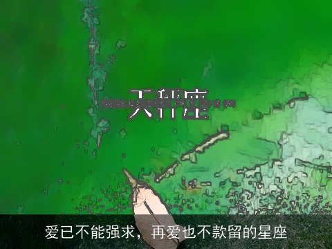 爱已不能强求，再爱也不款留的星座
