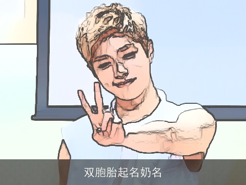 双胞胎起名奶名