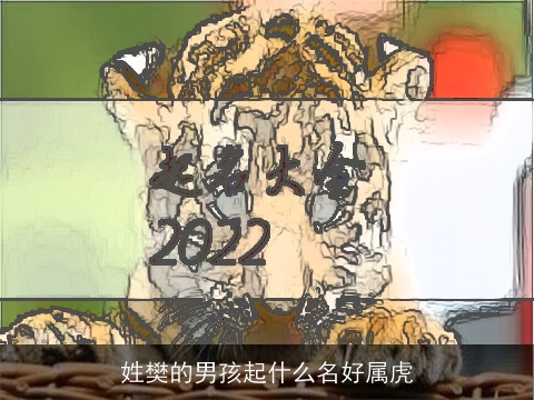 姓樊的男孩起什么名好属虎