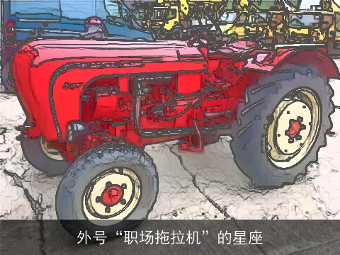 外号“职场拖拉机”的星座