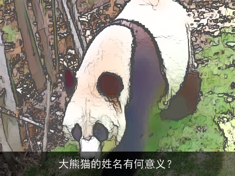 大熊猫的姓名有何意义？