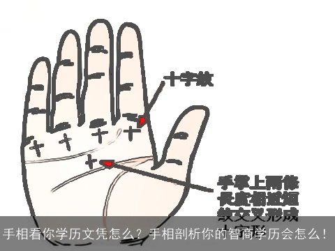 手相看你学历文凭怎么？手相剖析你的智商学历会怎么！