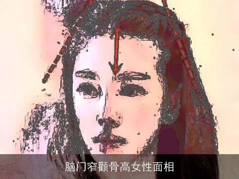 脑门窄颧骨高女性面相