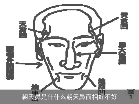 朝天鼻是什什么朝天鼻面相好不好