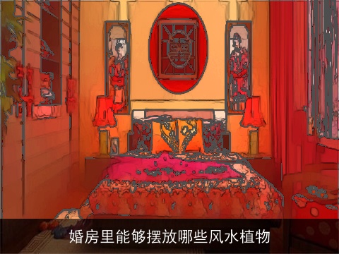 婚房里能够摆放哪些风水植物