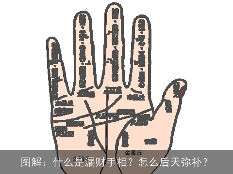图解：什么是漏财手相？怎么后天弥补？