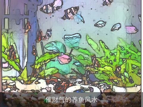 催财气的养鱼风水