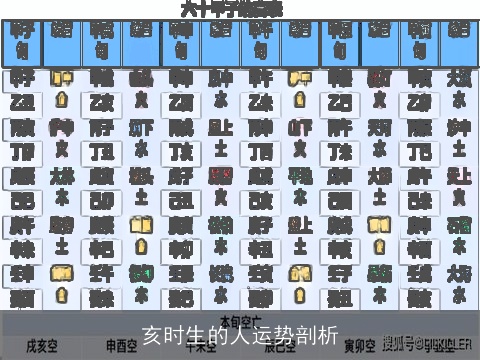 亥时生的人运势剖析