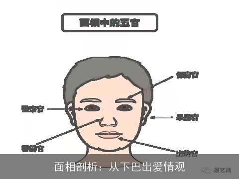 面相剖析：从下巴出爱情观