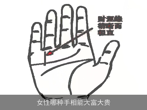女性哪种手相能大富大贵