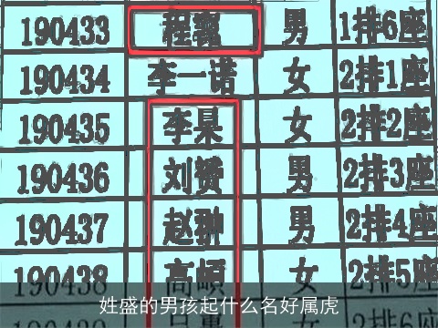 姓盛的男孩起什么名好属虎