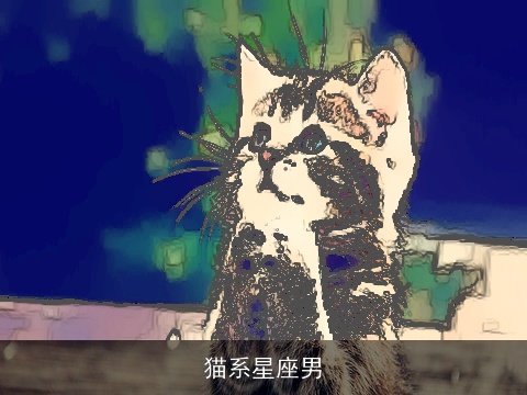 猫系星座男