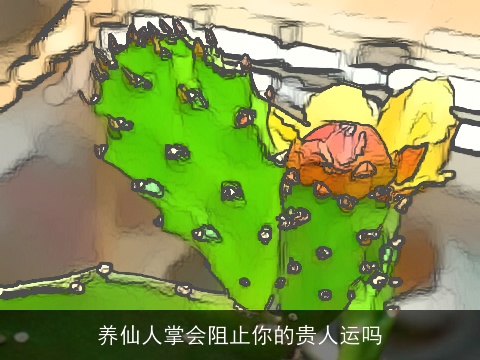 养仙人掌会阻止你的贵人运吗