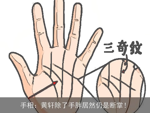 手相：黄轩除了手胖居然仍是断掌！