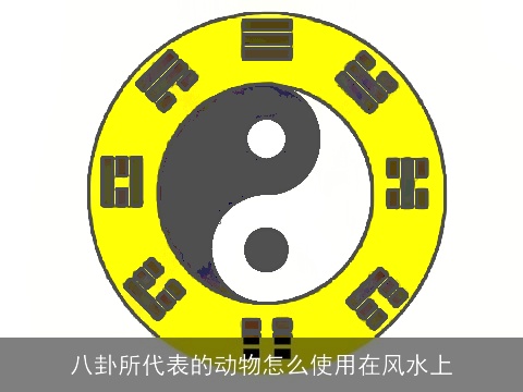 八卦所代表的动物怎么使用在风水上
