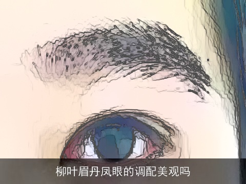 柳叶眉丹凤眼的调配美观吗