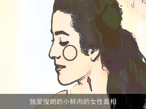 独爱俊朗的小鲜肉的女性面相