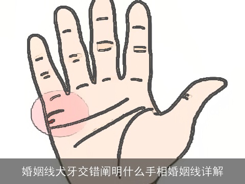 婚姻线犬牙交错阐明什么手相婚姻线详解