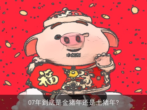 07年到底是金猪年还是土猪年?